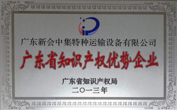IPR advantageous enterprises in Guangdong Province